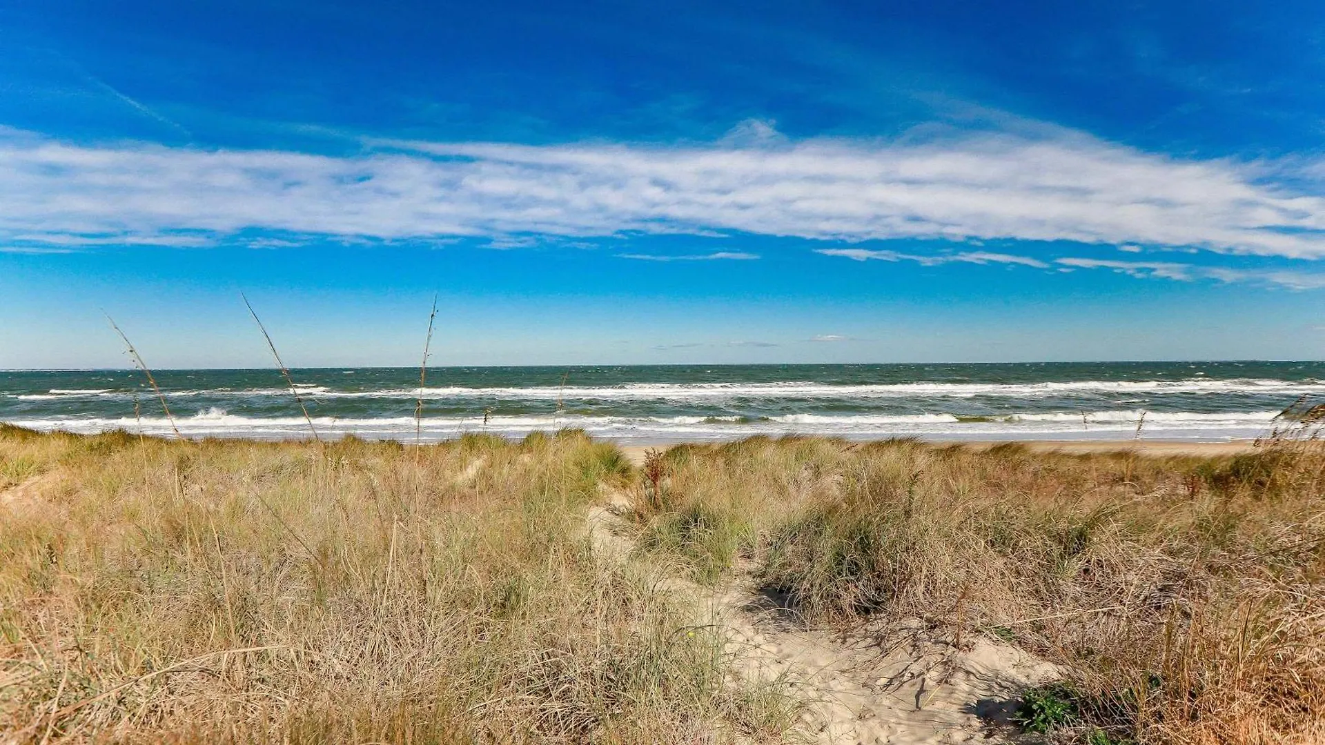 1866 Eov Beach Suite North Camellia Acres 0*,  الولايات المتحدة الأمريكية